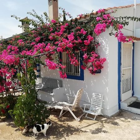Hesters Finca Torreblanca Eksteriør bilde