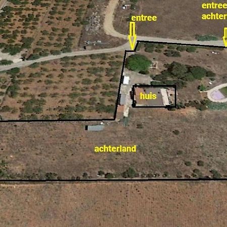Hesters Finca Torreblanca Eksteriør bilde