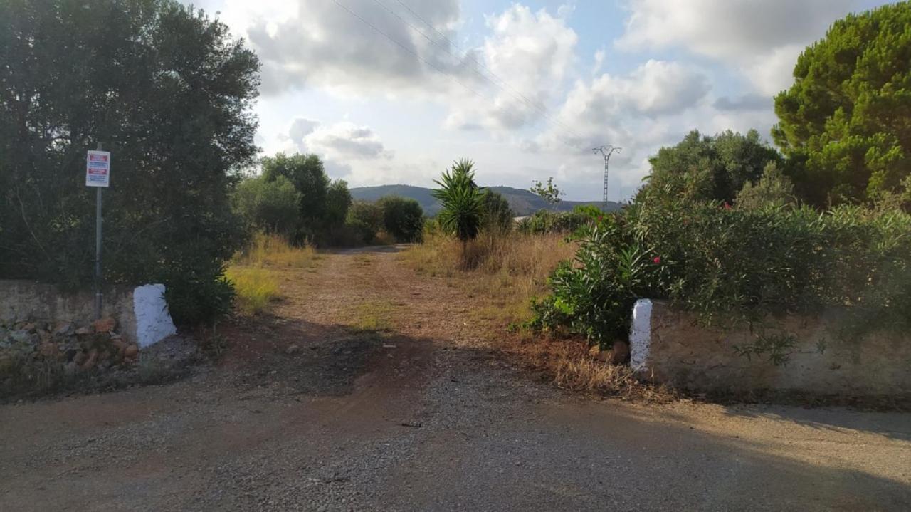 Hesters Finca Torreblanca Eksteriør bilde